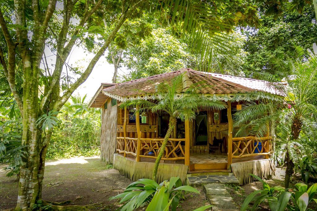 Hotel La Costa De Papito Puerto Viejo de Talamanca Pokój zdjęcie