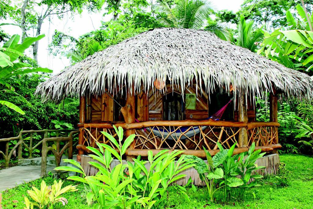 Hotel La Costa De Papito Puerto Viejo de Talamanca Zewnętrze zdjęcie