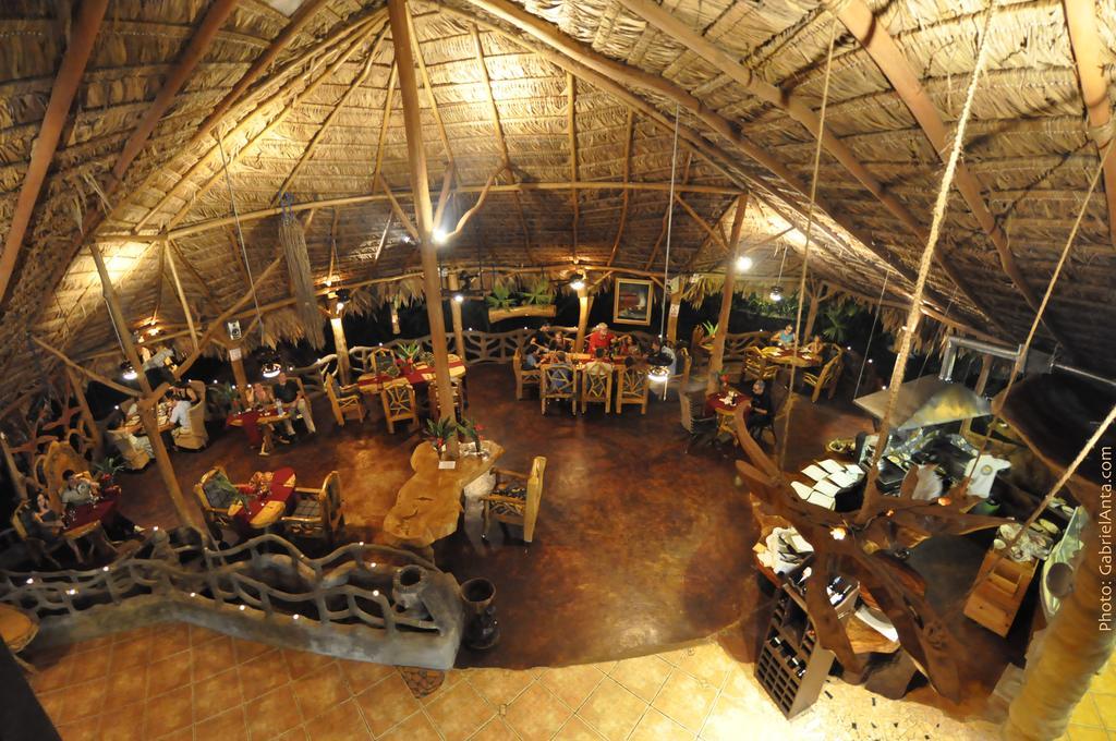 Hotel La Costa De Papito Puerto Viejo de Talamanca Zewnętrze zdjęcie