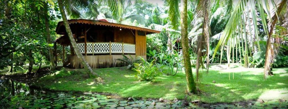 Hotel La Costa De Papito Puerto Viejo de Talamanca Zewnętrze zdjęcie