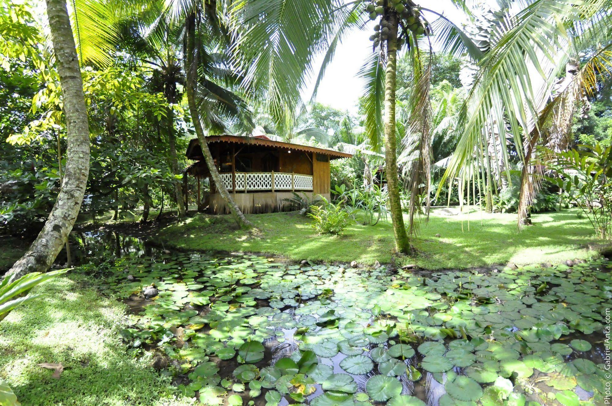 Hotel La Costa De Papito Puerto Viejo de Talamanca Zewnętrze zdjęcie